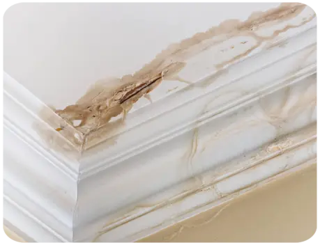 Infiltration d'eau toiture Gond-Pontouvre Charente